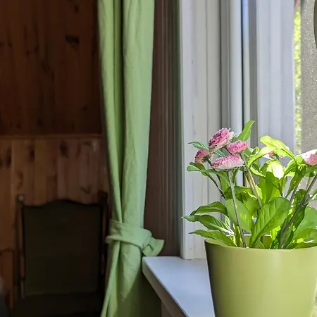 Rozany Ogrod - Dom Pod Lasem, Z Widokiem Na Jezioro I Kominkiem, Rowery, Lodka, Rowerek Wodny Tatil Evi