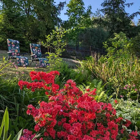 Rozany Ogrod - Dom Pod Lasem, Z Widokiem Na Jezioro I Kominkiem, Rowery, Lodka, Rowerek Wodny *