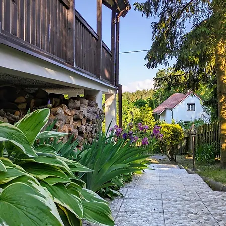 Tatil Evi Rozany Ogrod - Dom Pod Lasem, Z Widokiem Na Jezioro I Kominkiem, Rowery, Lodka, Rowerek Wodny *