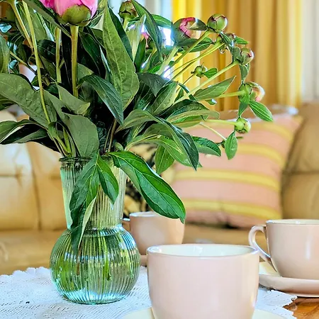 Tatil Evi Rozany Ogrod - Dom Pod Lasem, Z Widokiem Na Jezioro I Kominkiem, Rowery, Lodka, Rowerek Wodny *