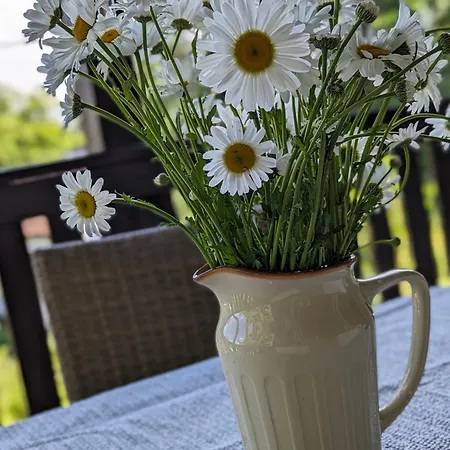 Tatil Evi Rozany Ogrod - Dom Pod Lasem, Z Widokiem Na Jezioro I Kominkiem, Rowery, Lodka, Rowerek Wodny *
