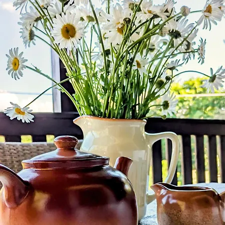 Rozany Ogrod - Dom Pod Lasem, Z Widokiem Na Jezioro I Kominkiem, Rowery, Lodka, Rowerek Wodny Przezmark