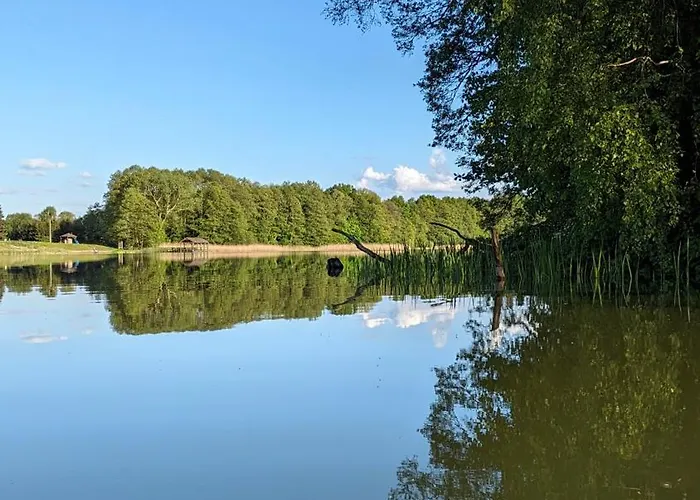 Rozany Ogrod - Dom Pod Lasem, Z Widokiem Na Jezioro I Kominkiem, Rowery, Lodka, Rowerek Wodny Przezmark