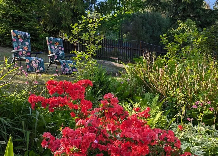 Rozany Ogrod - Dom Pod Lasem, Z Widokiem Na Jezioro I Kominkiem, Rowery, Lodka, Rowerek Wodny *