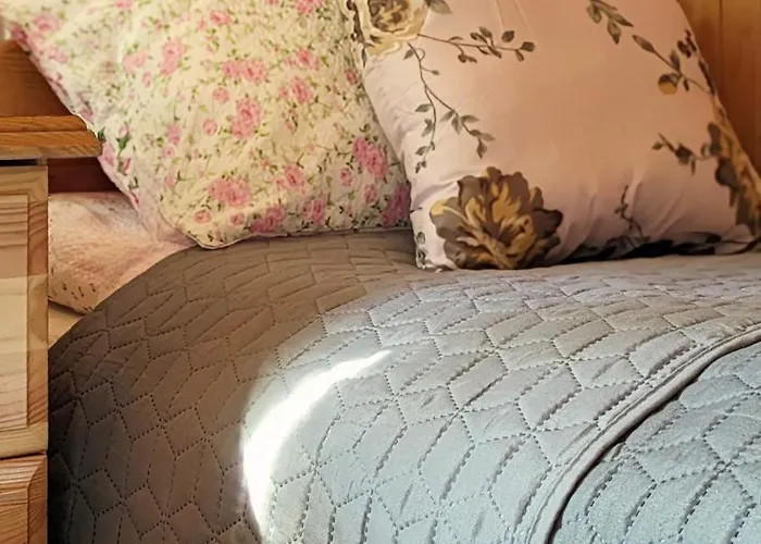 Rozany Ogrod - Dom Pod Lasem, Z Widokiem Na Jezioro I Kominkiem, Rowery, Lodka, Rowerek Wodny Prázdninový dům Przezmark