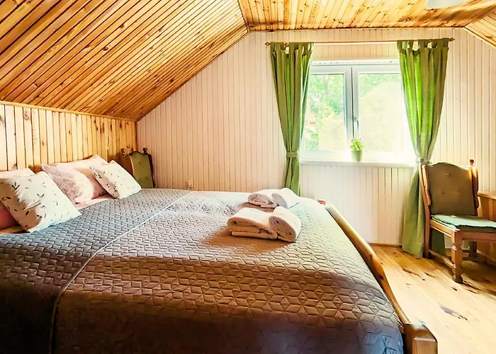 Prázdninový dům Rozany Ogrod - Dom Pod Lasem, Z Widokiem Na Jezioro I Kominkiem, Rowery, Lodka, Rowerek Wodny *