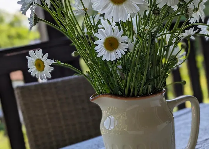 Prázdninový dům Rozany Ogrod - Dom Pod Lasem, Z Widokiem Na Jezioro I Kominkiem, Rowery, Lodka, Rowerek Wodny *