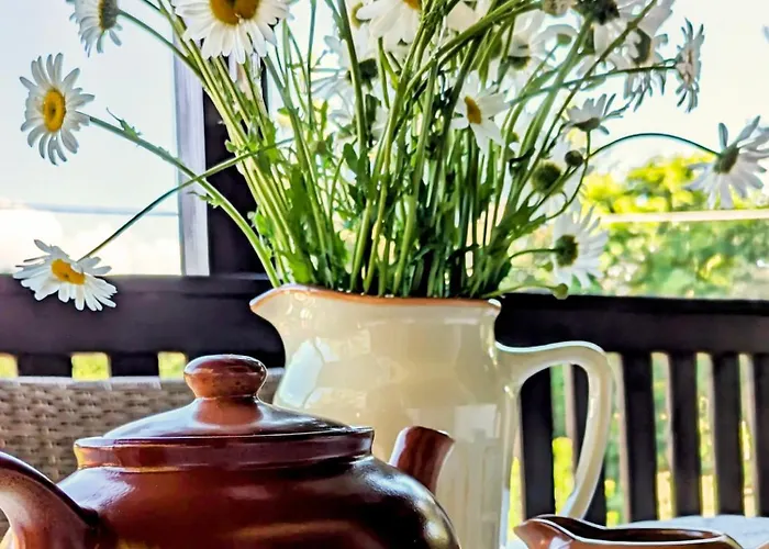 Rozany Ogrod - Dom Pod Lasem, Z Widokiem Na Jezioro I Kominkiem, Rowery, Lodka, Rowerek Wodny Przezmark