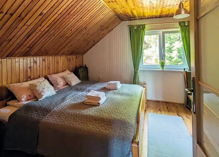 Rozany Ogrod - Dom Pod Lasem, Z Widokiem Na Jezioro I Kominkiem, Rowery, Lodka, Rowerek Wodny Przezmark